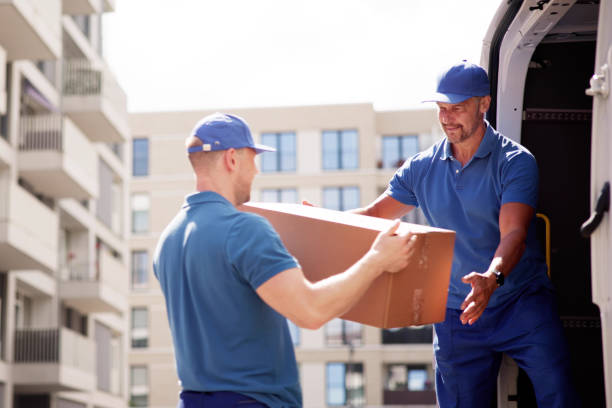 istockphoto-2159561912-612x612